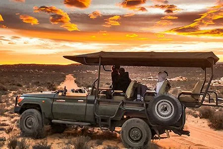Open safari vehicle crossing the reserve under a vivid Cederberg sunset
